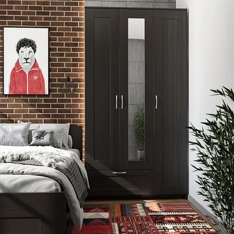 SIRIUS 3 Wardrobe (Wenge Oak) with Mirror